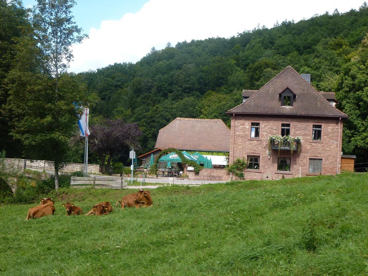Hotelgasthof Buchenmuehle Lohr Εξωτερικό φωτογραφία